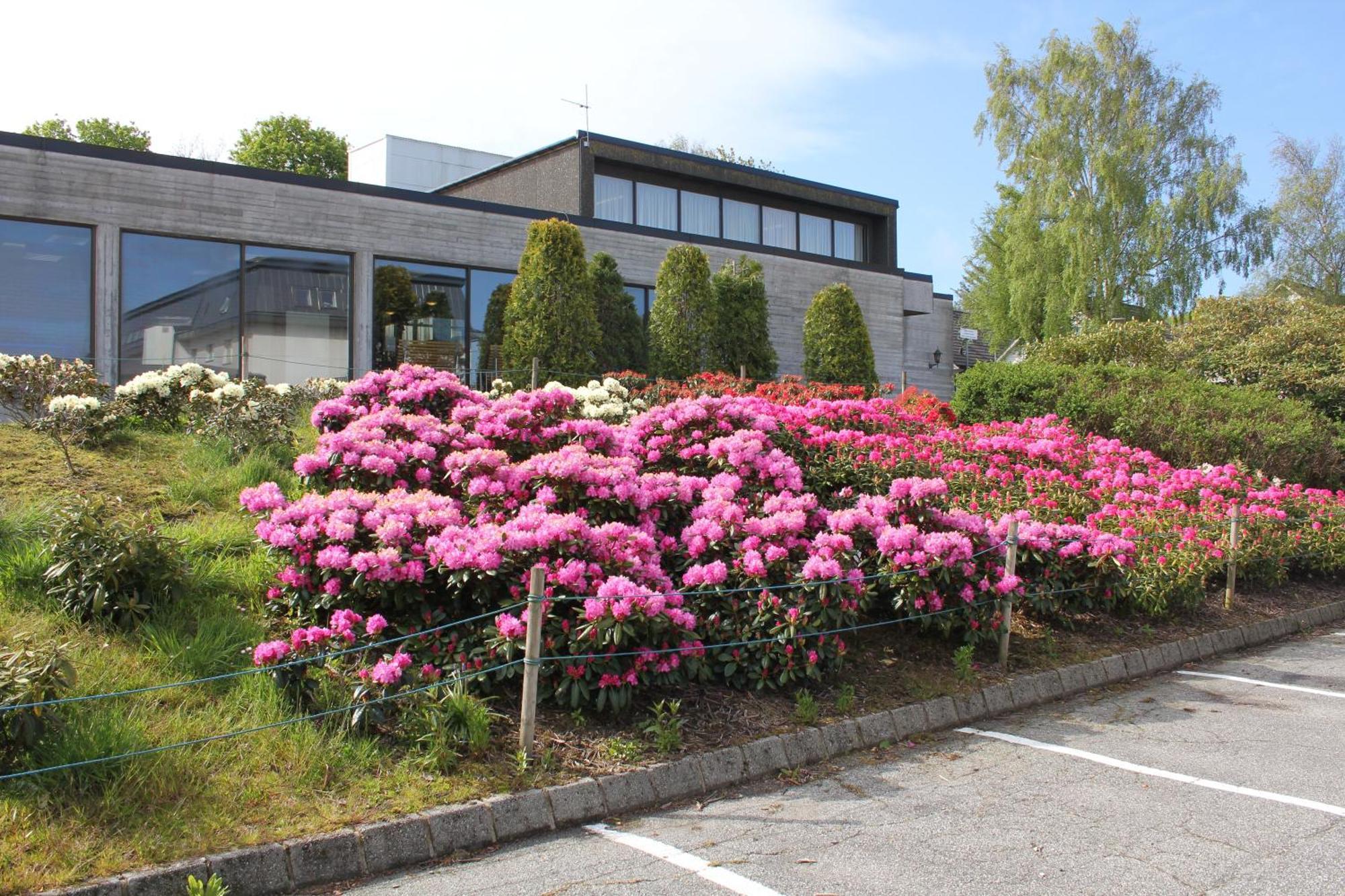 Solborg Folkehogskole Hostel Stavanger Exteriör bild
