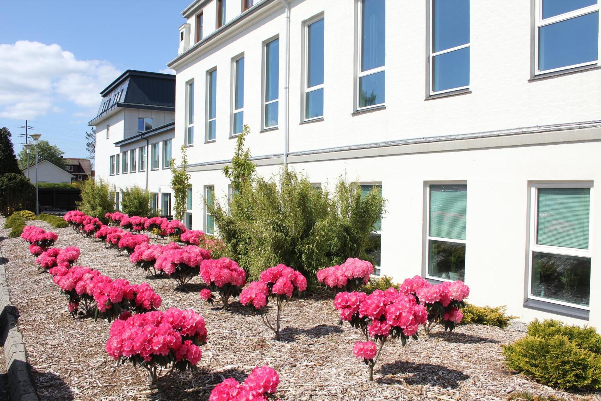 Solborg Folkehogskole Hostel Stavanger Exteriör bild
